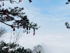 -洛阳白云山景区