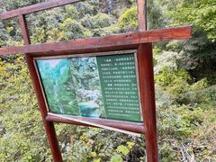 -庐山碧龙潭风景区