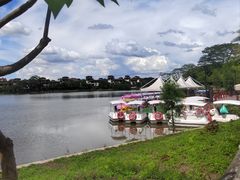 -美的鹭湖森林度假区