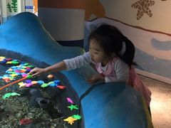 -绍兴梦享海洋公园