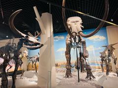 -国家自然博物馆