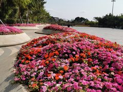 -深圳国际园林花卉博览园