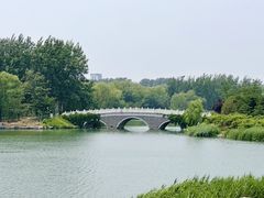 -大兴滨河森林公园