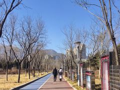 -滨河世纪广场公园
