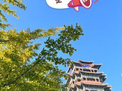 -永定河休闲森林公园