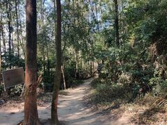 -火炉山森林公园