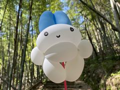 -会稽山峡洞漂流-上青古道