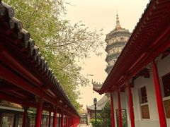 -哈尔滨极乐寺