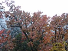 -叠溪松坪沟景区