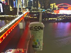 -一只酸奶牛(八一路店)