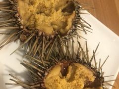 -海胆小馆(东北水饺·春柳店)