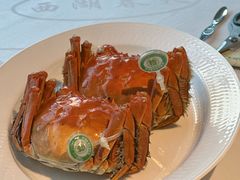 -西湖春天•老字号杭州菜(百汇店)