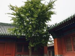 -历代帝王庙博物馆