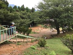 -岚山猴子公园