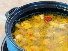 -蘑统田下·野生菌火锅