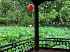 -上海醉白池公园