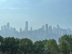 -丽晶轩中餐厅(重庆丽晶酒店)