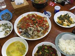-全乐鱼馆·淳牌有机鱼直营店