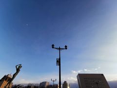 -币舞桥