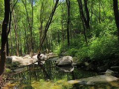-玉渡山自然风景区