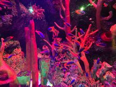 -沈阳海洋探索中心