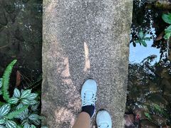-广州兰圃