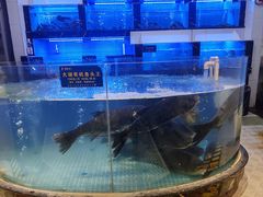 -洞庭渔人(沙湾店)
