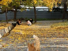 -国家植物园南园