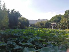 -东莞市可园博物馆