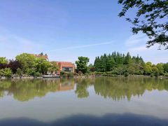 -上海都市菜园