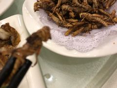 -燕春楼(海河华鼎店)