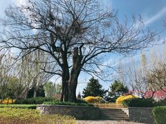 -北坞公园