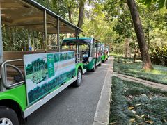 -中国科学院西双版纳热带植物园