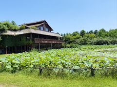 -东滩湿地公园观海楼餐厅