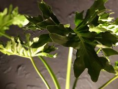 -Tuna maki寿司(园区永旺店)