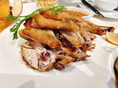 -青叶202都市餐厅(迪诺水镇店)