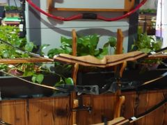 -都市枪神实弹射击俱乐部