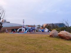 -九龙湖公园