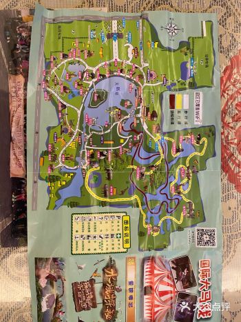 儿童打卡胜地-上海野生动物园