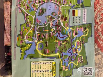 儿童打卡胜地-上海野生动物园