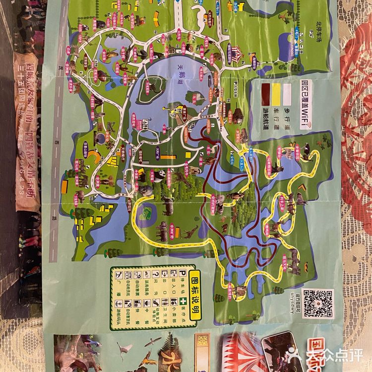 儿童打卡胜地-上海野生动物园