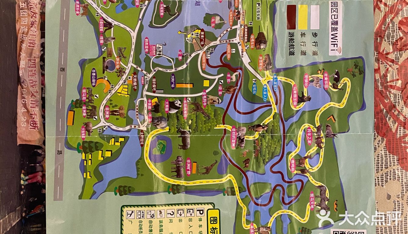 儿童打卡胜地-上海野生动物园