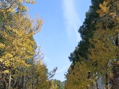 -黄陂区野村谷景区