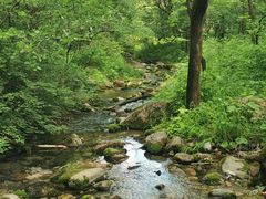 -玉渡山自然风景区