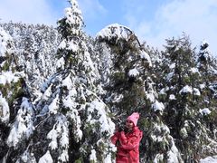 -武陵山森林公园
