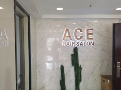 -ACE造型