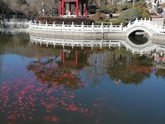 -湛山寺