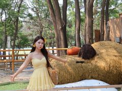 -南戴河国际娱乐中心