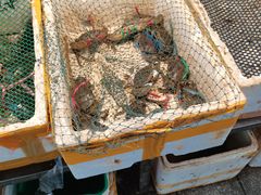 -华威西营里农产品批发市场