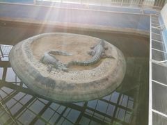 -太原动物园